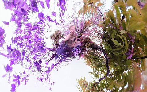 Tilda Swinton