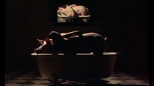 Toni Collette leaked photo #41