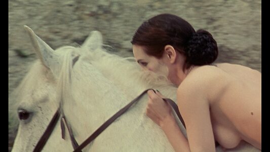 Toni Collette leaked photo #45