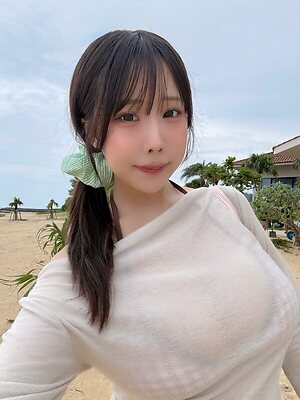 Towa Rabbit