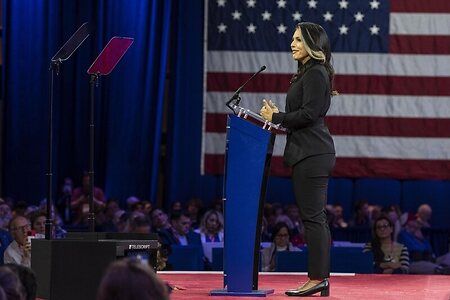 Tulsi Gabbard leaked photo #6