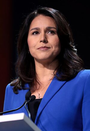 Tulsi Gabbard leaked photo #14