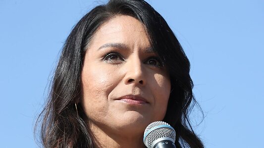 Tulsi Gabbard leaked photo #16