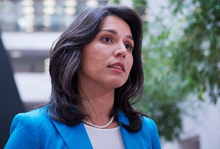 Tulsi Gabbard leaked photo #17