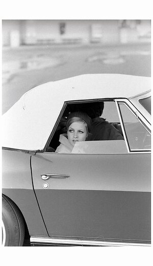 Twiggy