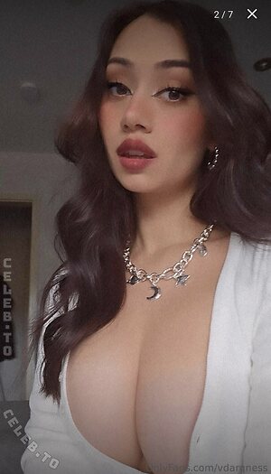 VDarquise photo