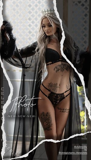 vel.ve.t Aka LilyMary photo