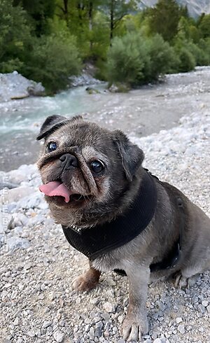 Verena Ullrich Nude Leaked Photo #21