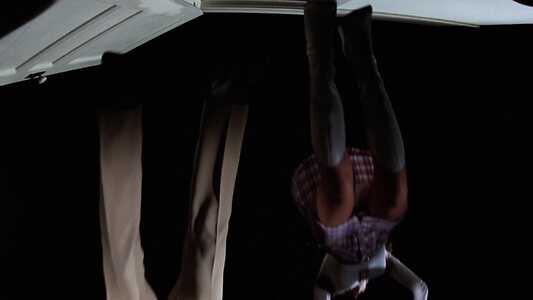 Victoria Principal leaked photo #12