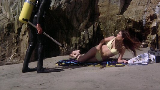 Victoria Principal leaked photo #37