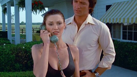 Victoria Principal leaked photo #68