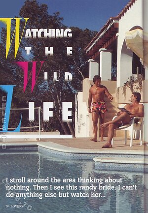 Vintage Erwachsenen Zeitschriften Nude Leaked Photo #1947