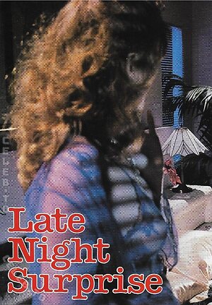 Vintage Erwachsenen Zeitschriften Nude Leaked Photo #6154