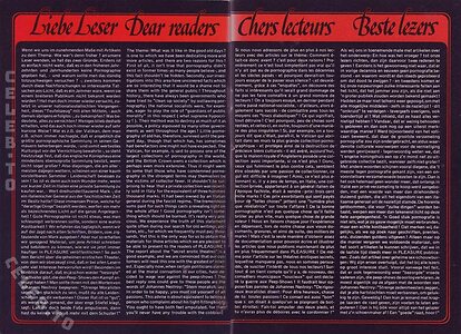 Vintage Erwachsenen Zeitschriften Nude Leaked Photo #8266