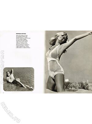 Vintage Erwachsenen Zeitschriften Nude Leaked Photo #8366