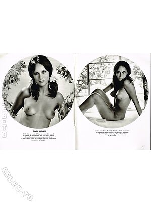 Vintage Erwachsenen Zeitschriften Nude Leaked Photo #8386