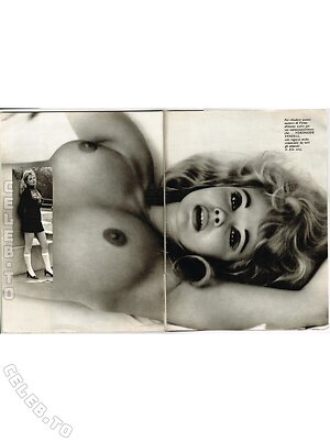 Vintage Erwachsenen Zeitschriften Nude Leaked Photo #8401