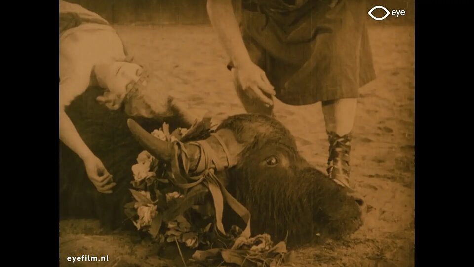 Vintage Mainstream Films with nudity or near nude scenes leaked photo #40