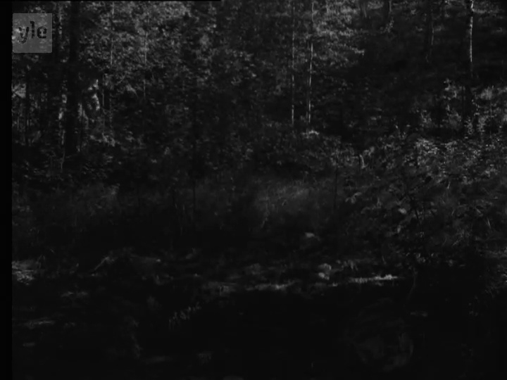 Vintage Mainstream Films with nudity or near nude scenes leaked photo #89