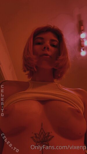 Vixenp Nude Leaked Photo #77