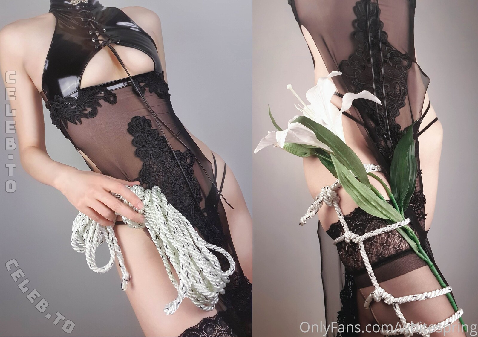 Whitespring photo