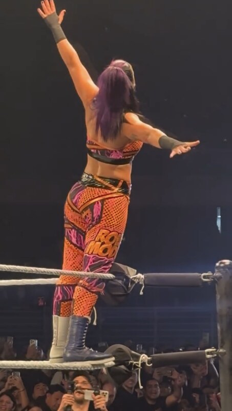 WWE Bayley leaked photo #19