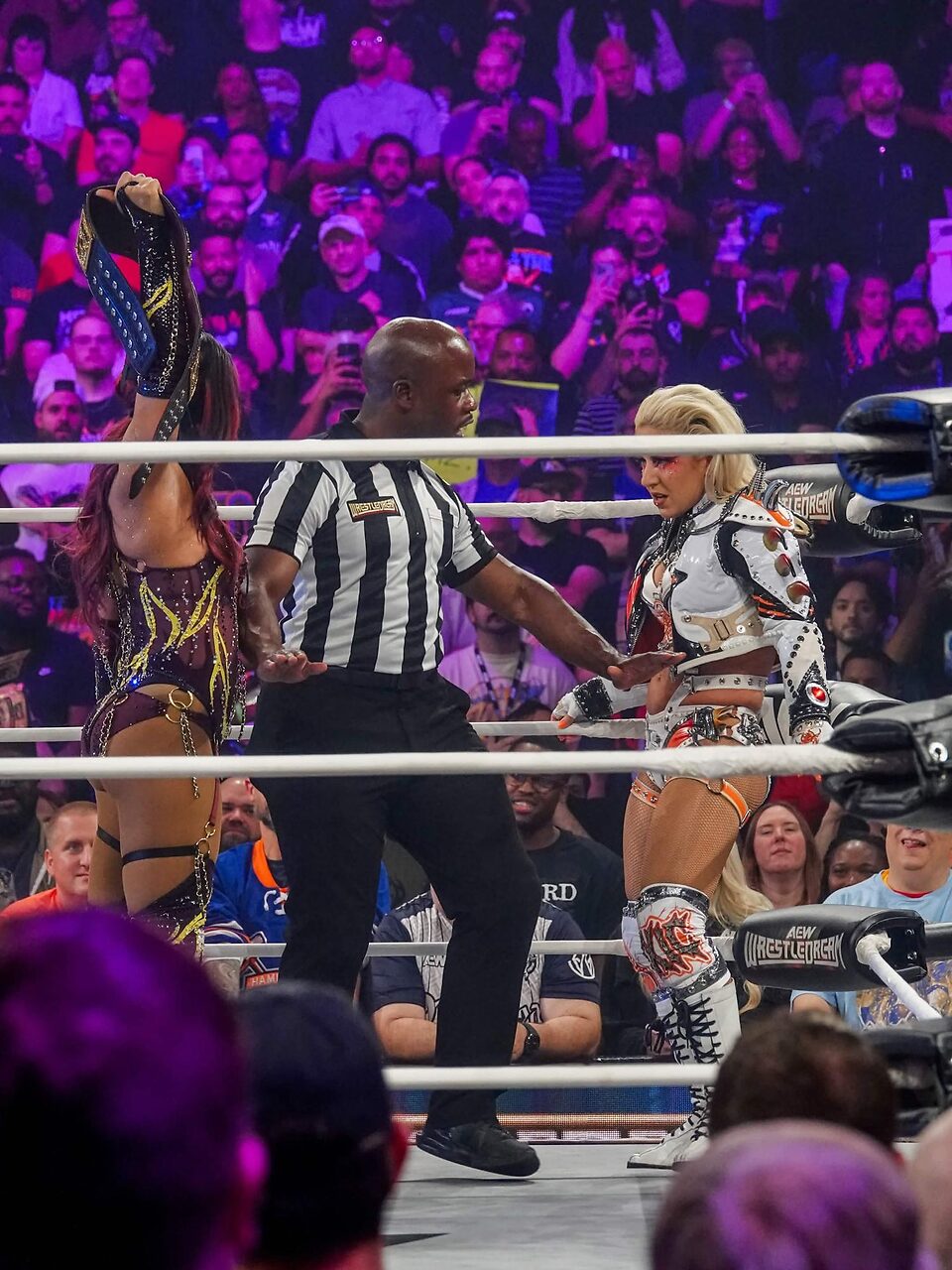 AEW Sasha Banks leaked photo #211