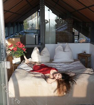 Yvonne Pferrer avatar