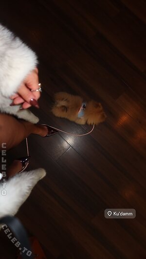 Z1lan Nude Leaked Photo #12