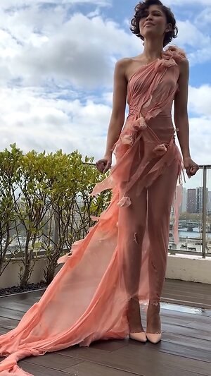 Zendaya Coleman collection leaked photo #3