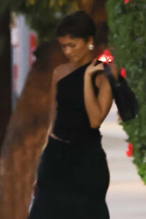 Zendaya leaked photo #340