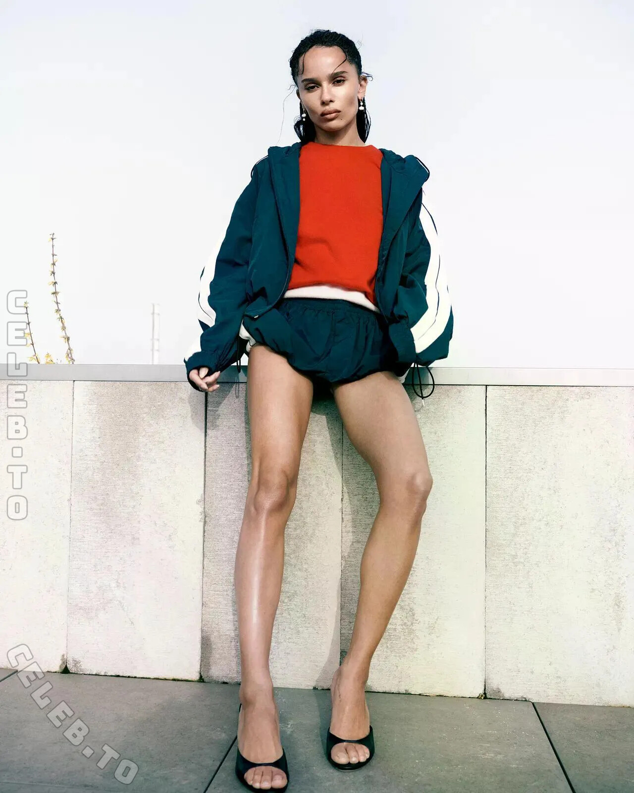 Zoë Kravitz photo